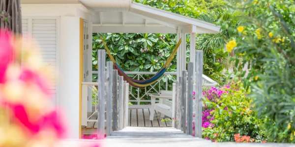 Dit duurzame resort reserveert voor onze groepen mooie bungalows en studio's die je kunt delen of privé kunt boeken. Bekijk alle accommodatie foto's in de galerij bij het kopje "Locatie en Hotel".