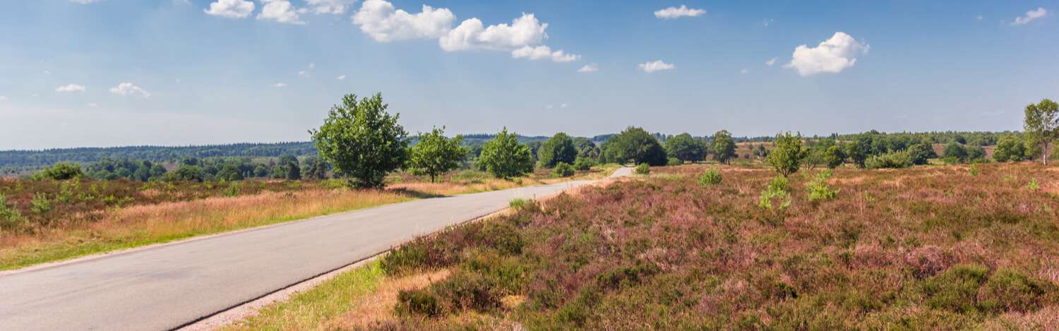 Singleweekend de Sallandse Heuvelrug